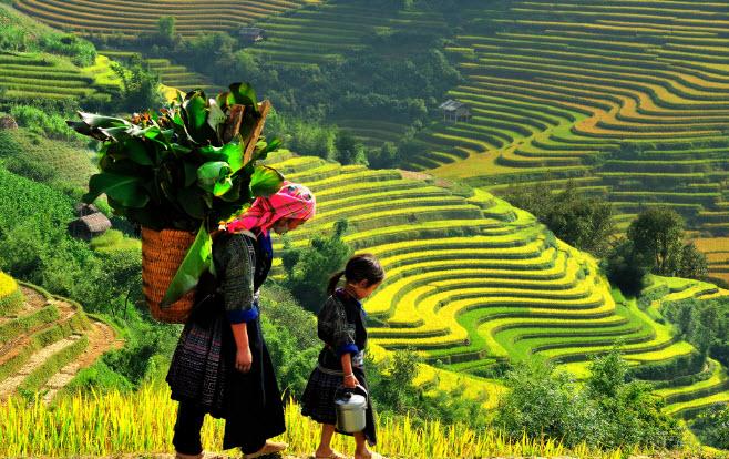 Top 11 Bài văn xuất sắc đóng vai anh thanh niên tái hiện truyện ngắn "Lặng lẽ Sa Pa" (Nguyễn Thành Long) dành cho học sinh lớp 9