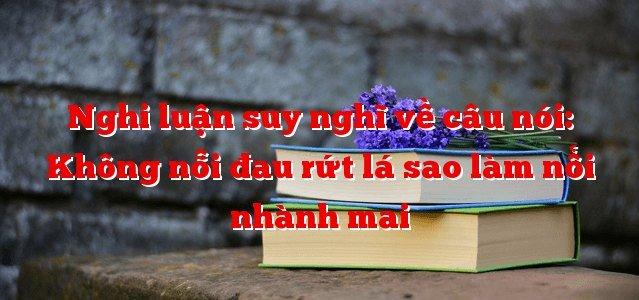 Top 6 Bài Văn Nghị Luận Bàn Luận Về Câu Nói: “Không Nỗi Đau Rứt Lá Sao Làm Nổi Nhành Mai” (Lớp 9) Hay Nhất