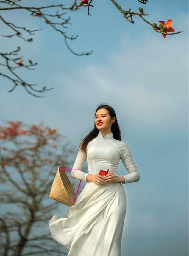 Top 12 bài thơ đặc sắc về mùa hoa gạo tháng ba