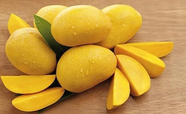 Top 10 đoạn văn mẫu tiếng Anh miêu tả loại trái cây yêu thích ấn tượng nhất