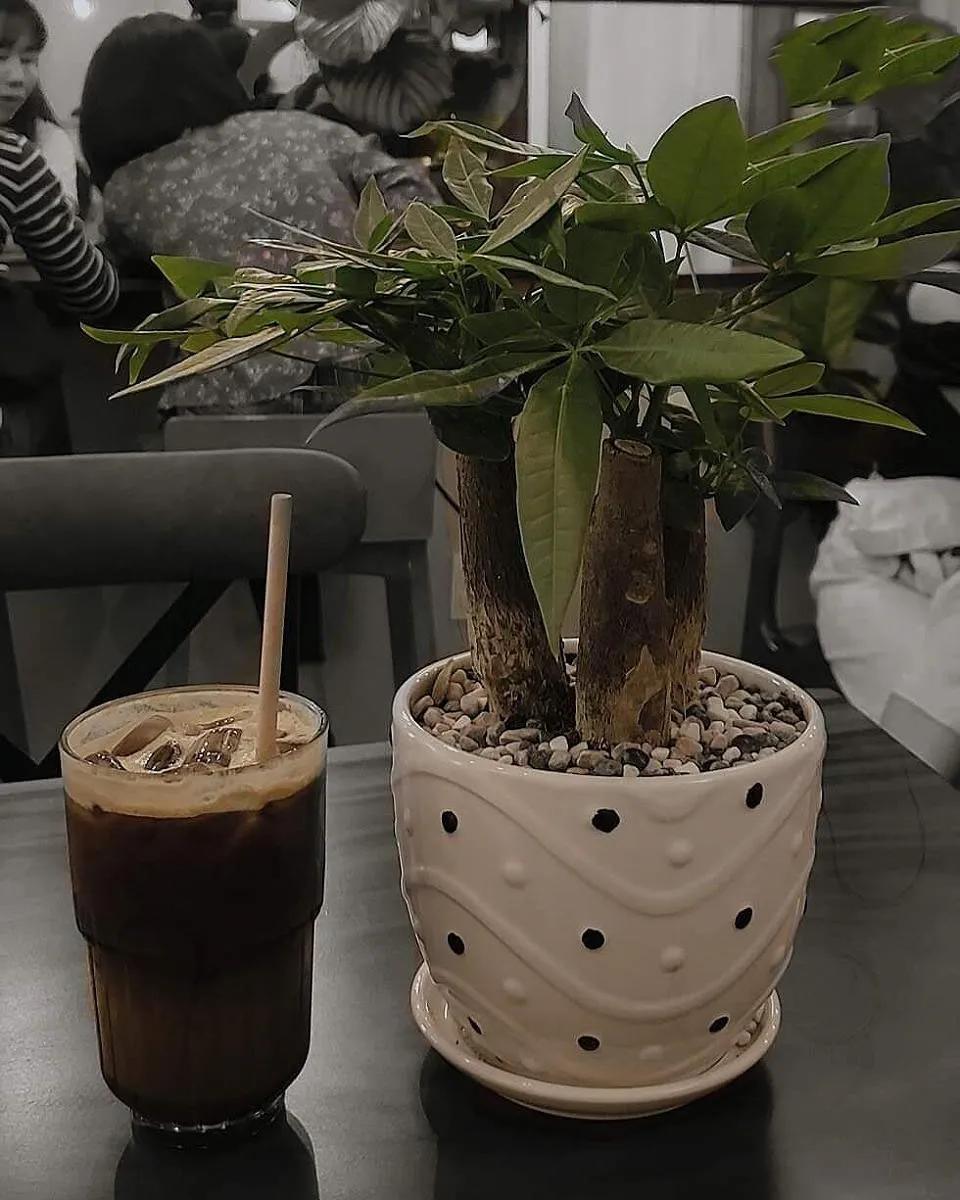 Top 6 đánh giá chân thành về quán cà phê DOP CAFFE