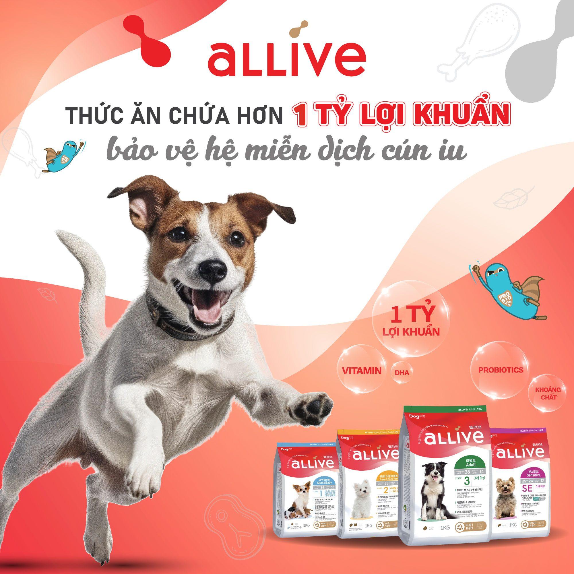 Top 5 địa chỉ mua thức ăn và phụ kiện thú cưng chất lượng nhất TP. Pleiku, Gia Lai