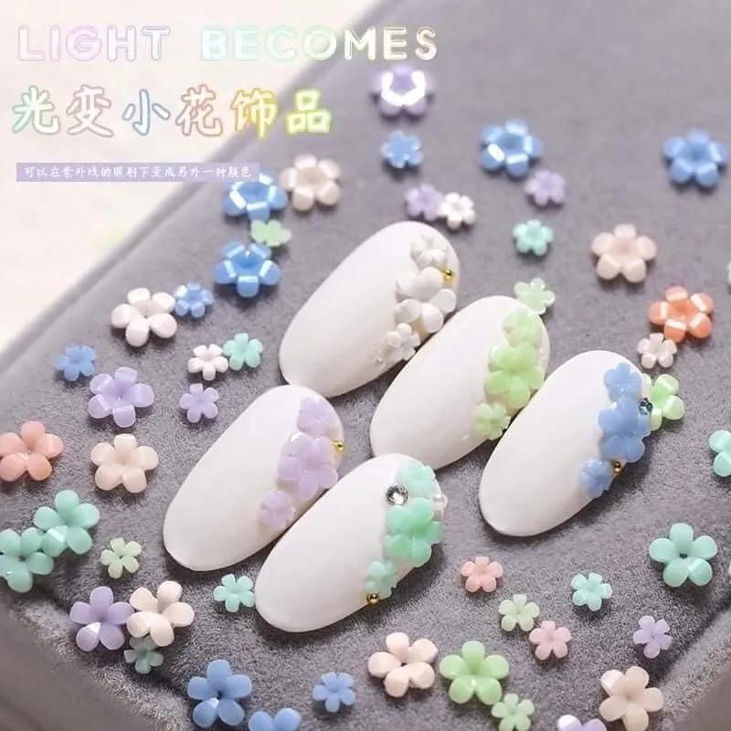 Top 4 Địa chỉ uy tín cung cấp phụ kiện nail tại Nam Định