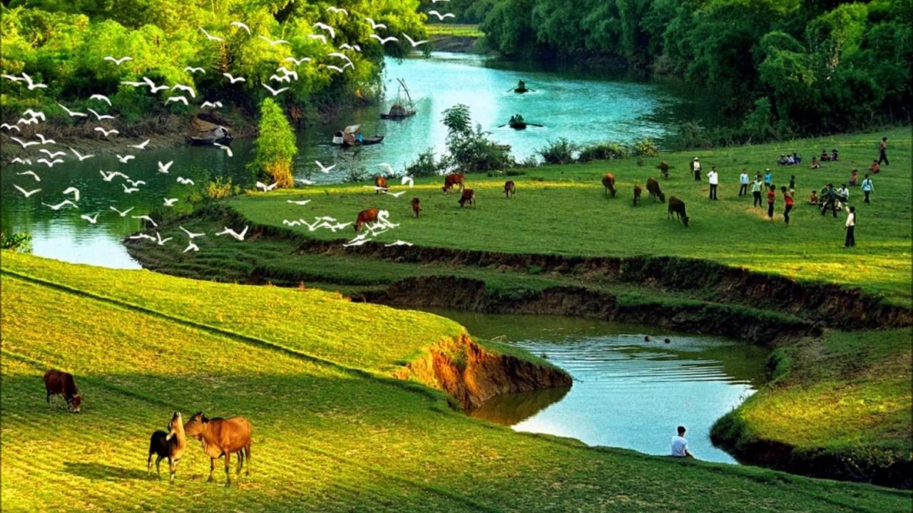 Khám Phá Top 6 Bài Soạn Hay Nhất về "Đất nước" (Ngữ văn 10 - SGK Chân Trời Sáng Tạo)