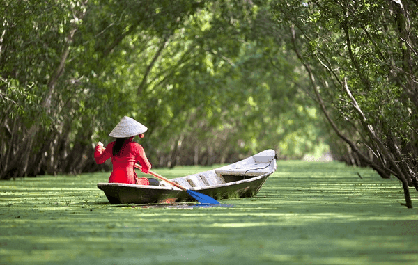 6 Bài soạn "Ghe xuồng Nam Bộ" (Ngữ văn 7 - SGK Cánh diều) ấn tượng và sâu sắc nhất