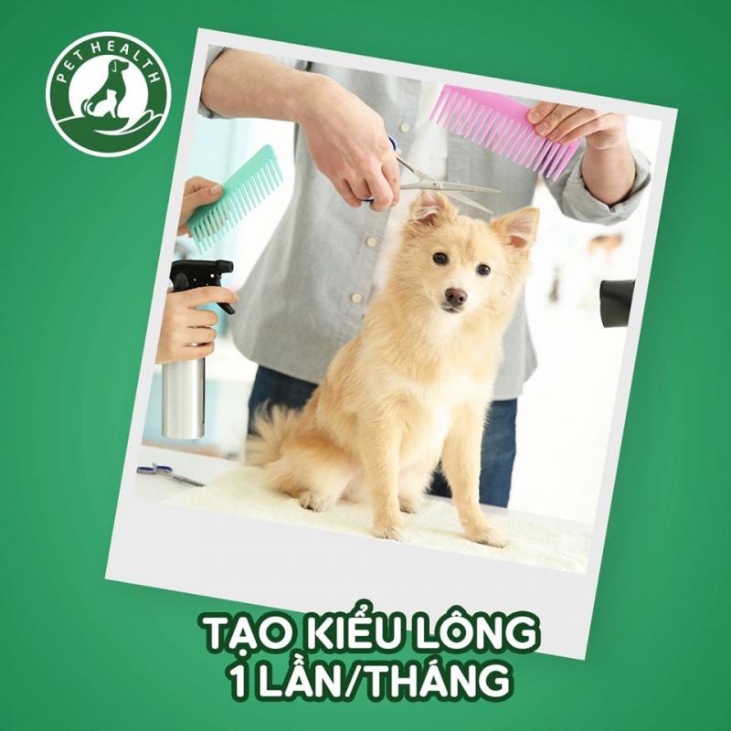 4 Địa điểm cắt tỉa lông thú cưng chất lượng và uy tín bậc nhất Thanh Hóa