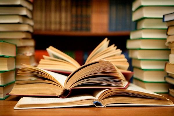 Top 6 Bài soạn Miêu tả và biểu cảm trong văn tự sự (Ngữ Văn 10) tinh túy nhất