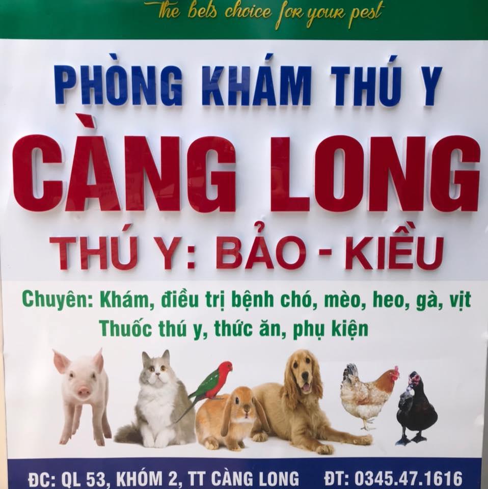 4 Địa chỉ phòng khám thú y chất lượng nhất Trà Vinh bạn nên biết