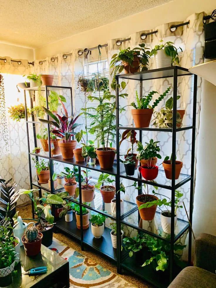 6 Địa chỉ uy tín nhất Đà Nẵng để sở hữu những chậu cây cảnh tuyệt đẹp