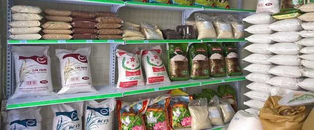 Khám phá 4 đại lý cung cấp gạo chất lượng, uy tín và giá tốt nhất tại Nam Định