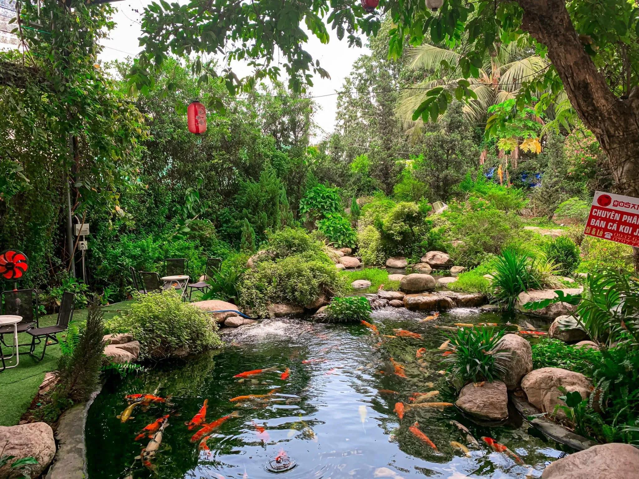 Top 5 quán cà phê cá Koi ấn tượng và được yêu thích tại TP. Biên Hoà, Đồng Nai