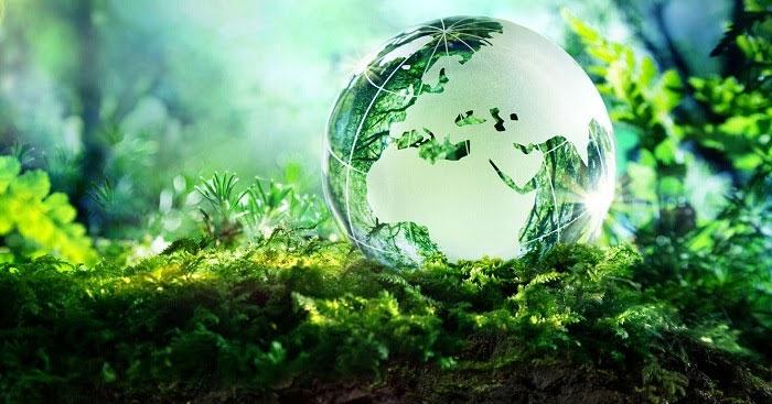 Top 6 bài soạn 'Quá trình hình thành sự sống trên Trái Đất' (Ngữ văn 6 - SGK Kết nối tri thức) ấn tượng nhất