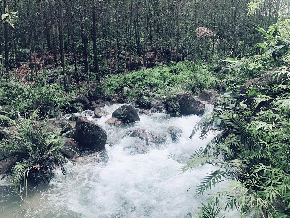 Top 8 Bài văn mẫu tả dòng suối quê hương ấn tượng nhất dành cho học sinh lớp 5