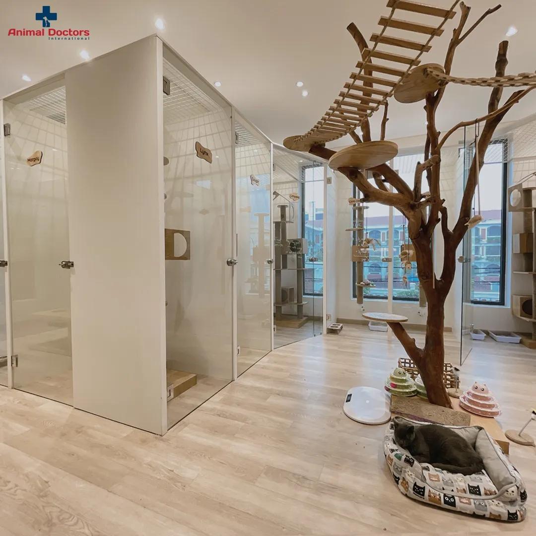 Top 11 dịch vụ trông giữ thú cưng Tết uy tín tại TP. HCM