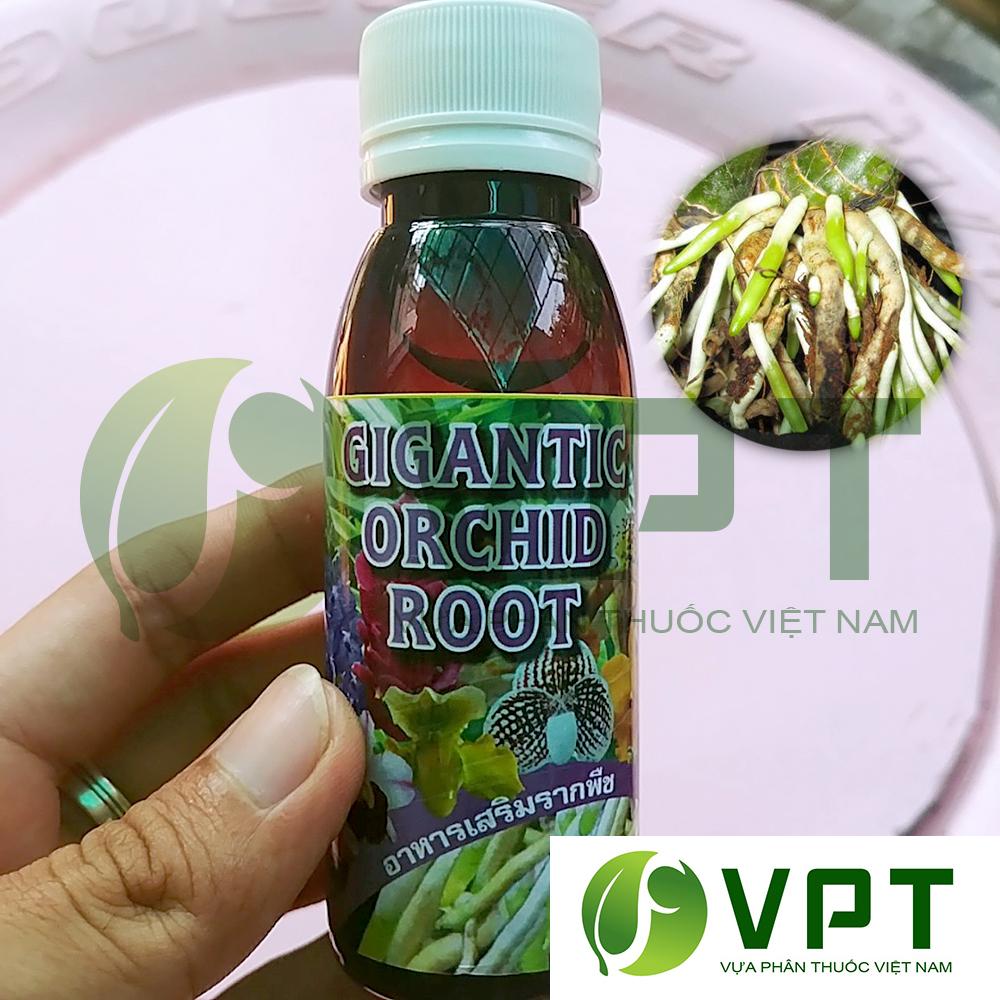 7 dòng thuốc kích rễ lan đột phá được ưa chuộng nhất hiện nay