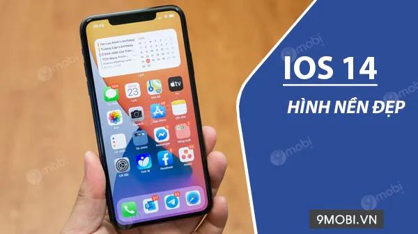 Hướng dẫn chi tiết cách tải hình nền iOS 14 chất lượng cao dành cho iPhone và iPad