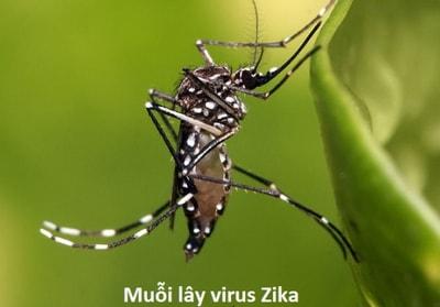 Ứng dụng đuổi muỗi - Giải pháp phòng chống virus Zika hiệu quả