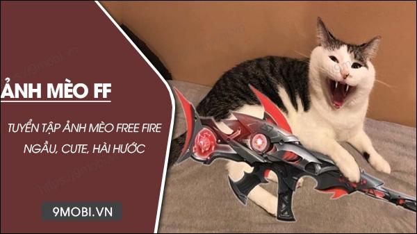 Bộ sưu tập ảnh mèo Free Fire đa dạng - từ dễ thương, cá tính đến hài hước