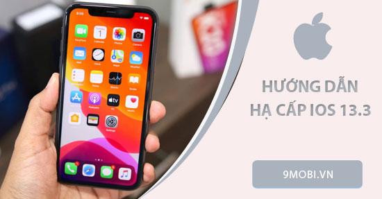 Hướng dẫn hạ cấp iOS 13.3: Cách quay lại phiên bản trước