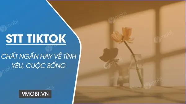Stt TikTok ngắn gọn nhưng đầy chất, caption thả thính giúp bạn chạm trending