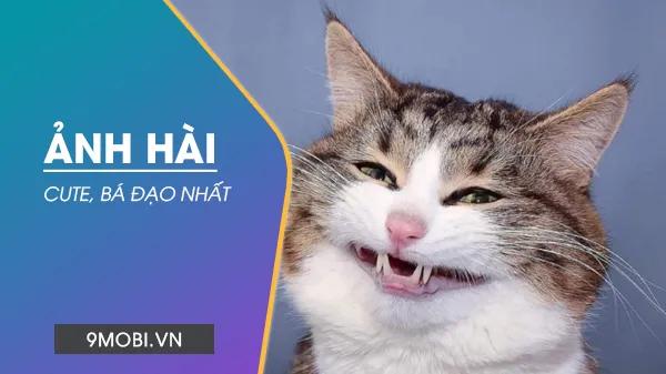 Bộ ảnh hài hước, dễ thương và cực kỳ bá đạo