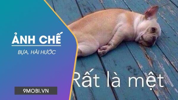 Tuyển tập ảnh chế hài hước đỉnh cao - cười nghiêng ngả mỗi ngày