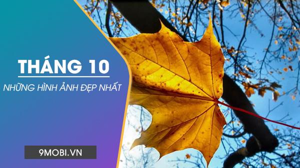 Những hình ảnh tháng 10 tinh tế, ảnh bìa và hình nền chào đón tháng 10 tràn đầy ý nghĩa.