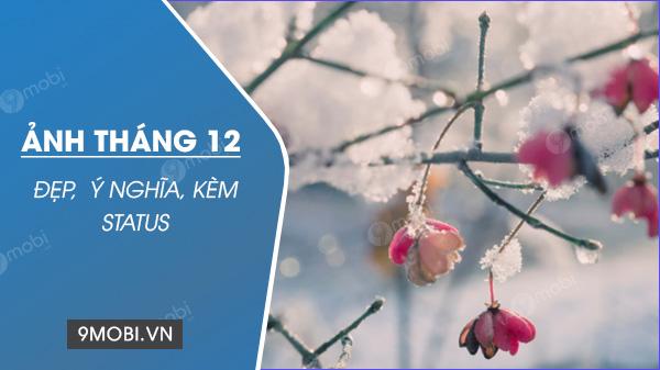 Bộ sưu tập hình ảnh tháng 12 đẹp nhất, lãng mạn nhất