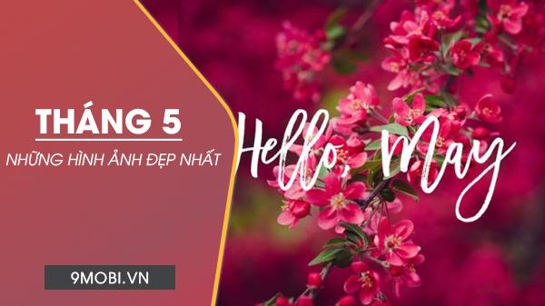 Bộ sưu tập ảnh bìa Facebook tháng 5 tuyệt đẹp, ngập tràn sắc màu Hello May rực rỡ