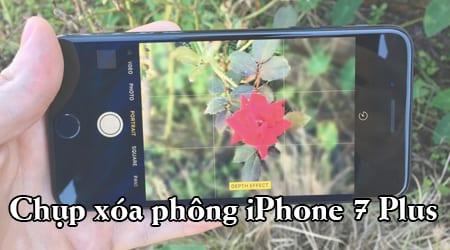 Bí quyết chụp ảnh xóa phông chuyên nghiệp trên iPhone 7 Plus