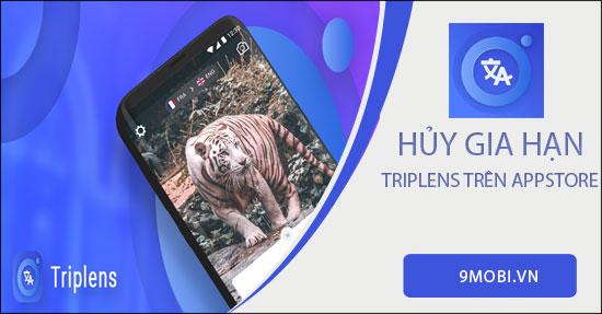 Cách tắt gia hạn tự động Triplens trên App Store đơn giản, hiệu quả