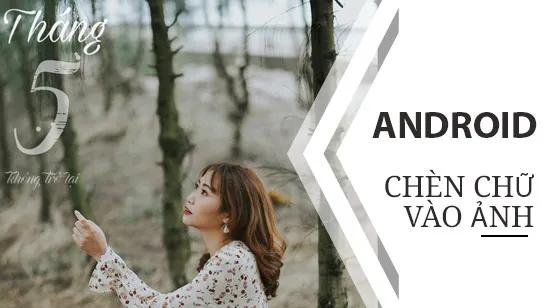 Hướng dẫn chi tiết cách thêm chữ vào ảnh trên điện thoại Android