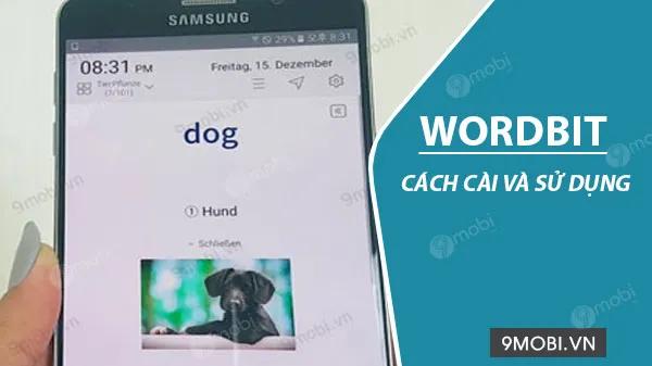 Hướng dẫn chi tiết cách cài đặt và sử dụng WordBit hiệu quả