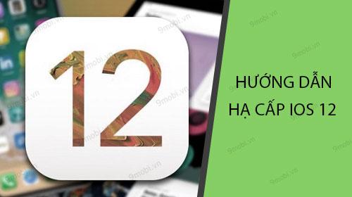 Hướng dẫn chi tiết cách hạ cấp từ iOS 12 về bản iOS 11.4.1