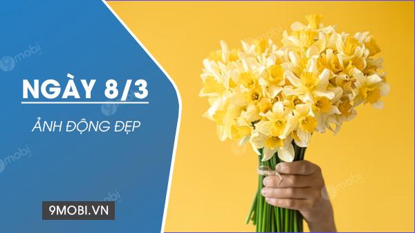 Bộ sưu tập ảnh GIF 8/3 tuyệt đẹp, hình động chào mừng Ngày Quốc tế Phụ nữ