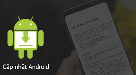 Hướng dẫn cập nhật Android trên Samsung Galaxy S8 và S8 Plus