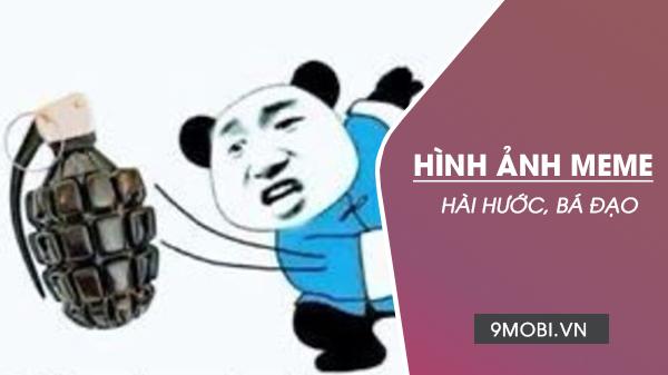 Bộ sưu tập meme siêu dễ thương, hài hước với loạt ảnh mèo chế 'cười nghiêng ngả'