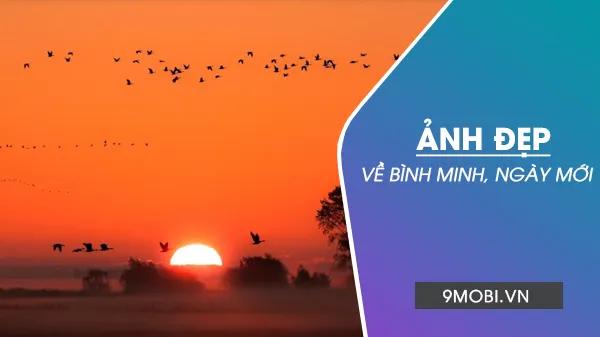 Khoảnh khắc bình minh rạng ngời trên biển cả và cánh đồng bát ngát - những kiệt tác thiên nhiên đẹp ngỡ ngàng