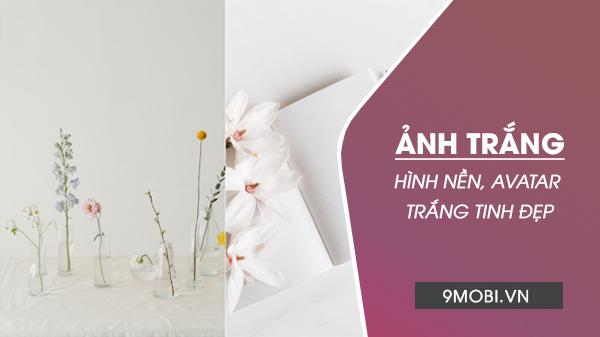 Tuyển tập ảnh trắng tinh khôi - Hình nền và avatar trắng đẹp nhất, sang trọng