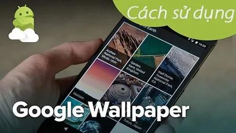Khám Phá Cách Sử Dụng Google Wallpapers Trên Android