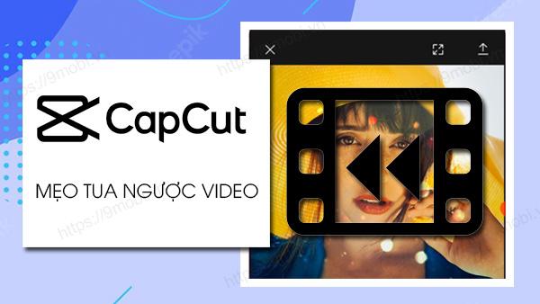 Hướng Dẫn Tua Ngược Video Trên Capcut Đơn Giản Nhất
