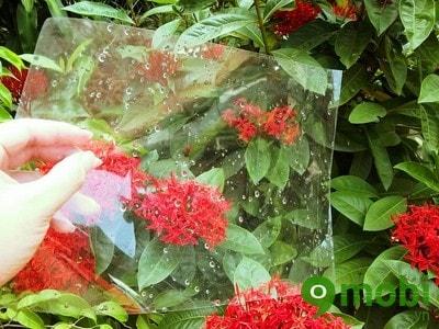 Hướng dẫn tạo ảnh Bokeh nghệ thuật trên smartphone