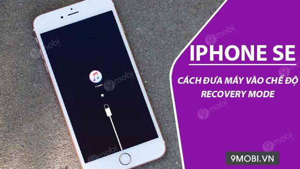 Hướng dẫn chi tiết cách vào Recovery Mode trên iPhone SE