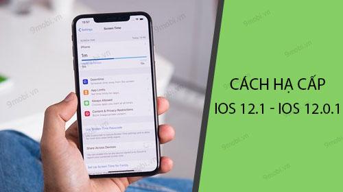 Cách thực hiện hạ cấp từ iOS 12.1 xuống iOS 12.0.1