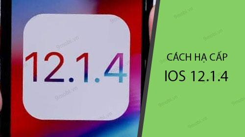 Cách hạ cấp iOS 12.1.4 xuống iOS 12.1.3: Hướng dẫn chi tiết