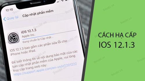 Hướng dẫn chi tiết cách hạ cấp từ iOS 12.1.3 về iOS 12.1.1 dành cho iPhone và iPad