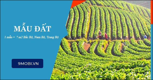 1 mẫu đất tương đương với bao nhiêu sào, m²?