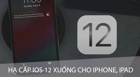 Hướng dẫn hạ cấp iOS 12 về iOS 11.4 cho iPhone, iPad