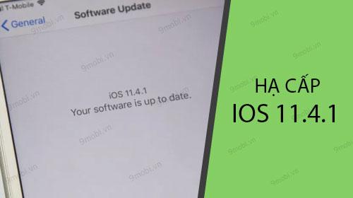Cách Thực Hiện Hạ Cấp Từ iOS 11.4.1 Xuống iOS 11.4