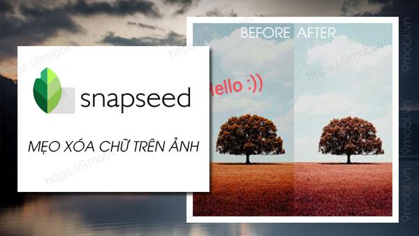 Mẹo xóa chữ khỏi ảnh bằng Snapseed giữ nguyên phông nền hoàn hảo